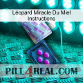 Léopard Miracle Du Miel Instructions 37